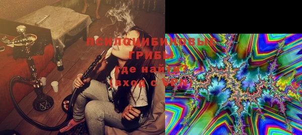 сатива Лихославль